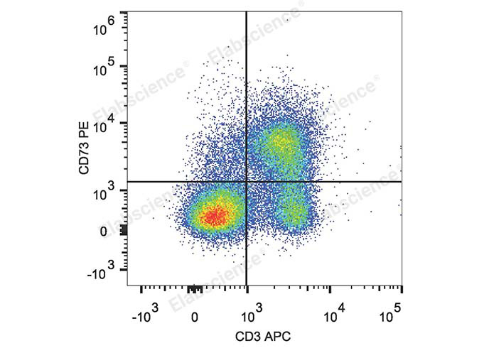Purified Anti-Human CD73 Antibody[AD2]-产品推荐-1