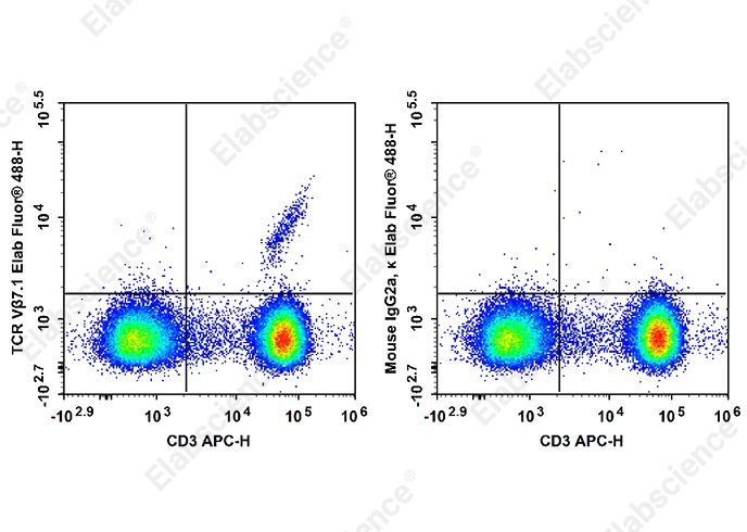 Elab Fluor<sup>®</sup>488 Anti-Human TCR Vβ7.1 Antibody[ZOE5.1] - 1
