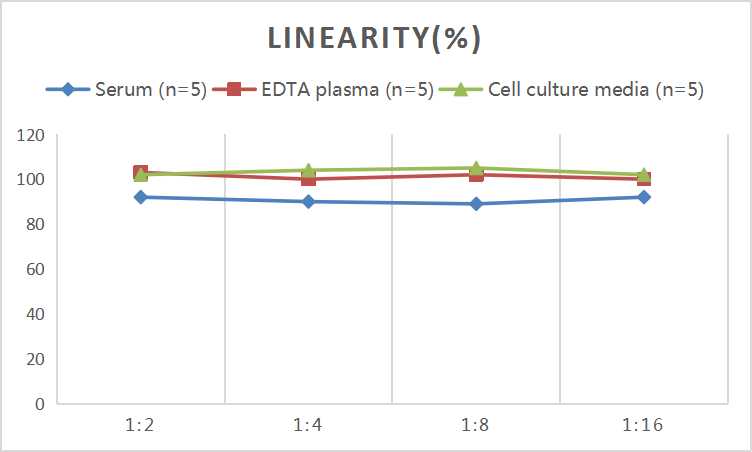 Rat SOD2 (Superoxide Dismutase 2, Mitochondrial) ELISA Kit - small - 2