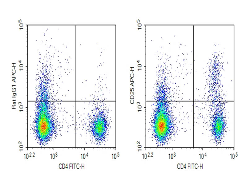 Purified Anti-Mouse CD25 Antibody[PC-61.5.3] - 1