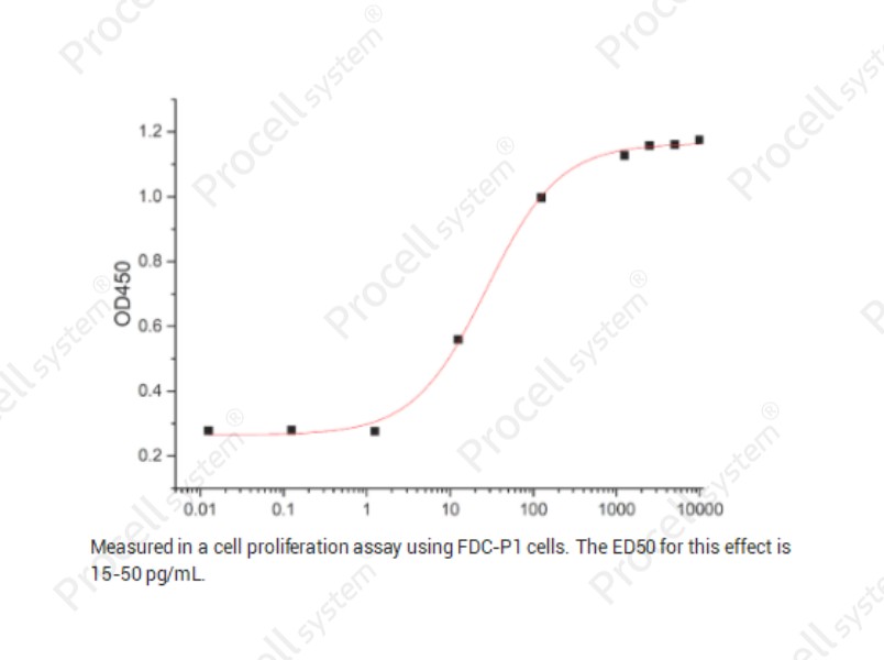 GM-CSF/CSF2/MGI-I/MGI-IGM, Mouse, RecombinantGM-CSF/CSF2/MGI-I/MGI-IGM, Mouse, Recombinant - 2