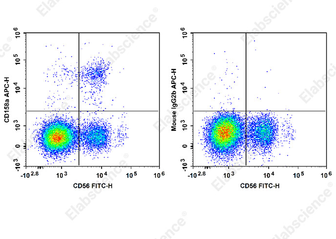 APC Anti-Human CD158/KIR2DL1 Antibody[HP-MA4]-1