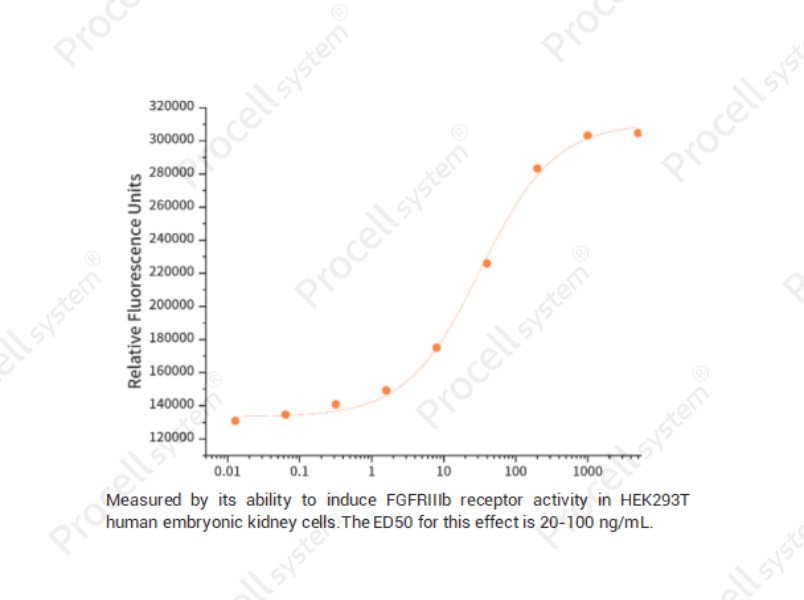 FGF-10/FGFA/KGF2, Human, RecombinantFGF-10/FGFA/KGF2, Human, Recombinant - 2