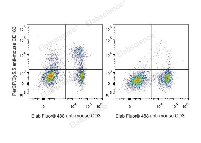 C57BL/6 murine splenocytes are stained with PerCP/Cyanine5.5 Anti-Mouse CD183/CXCR3 Antibody and Elab Fluor® 488 Anti-Mouse CD3 Antibody (Left). Splenocytes stained with Elab Fluor® 488 Anti-Mouse CD3 Antibody (Right) are used as control.