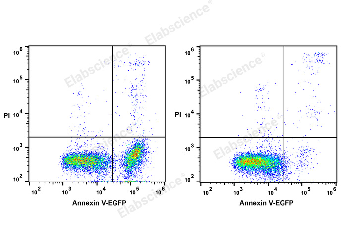 Annexin V-EGFP Reagent-1