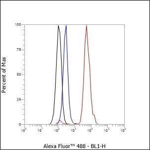 Recombinant Cystatin A Monoclonal Antibody - small - 3