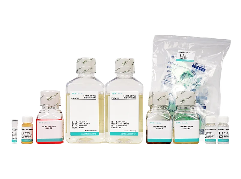 https://789.bio/ec/1K44lD