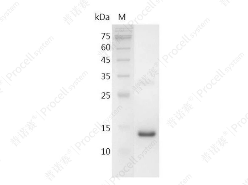 https://789.bio/ec/1KlHO0