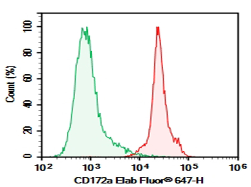 AF/LE Purified Anti-Mouse CD172a Antibody[P84]-1