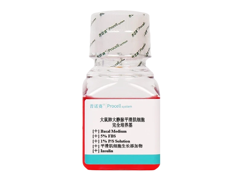 https://789.bio/ec/1NdGnG22