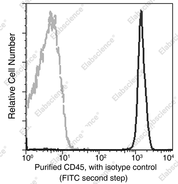 CD45/PTPRC Monoclonal Antibody - 1