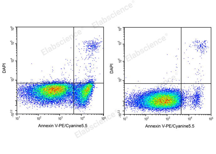 Annexin V-PE/Cyanine5.5/DAPI Apoptosis Kit-1