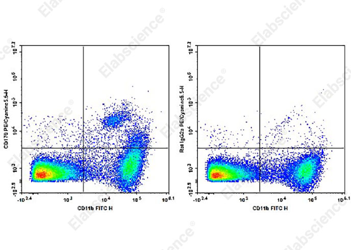 PE/Cyanine5.5 Anti-Mouse CD170 Antibody[S17007L]-1