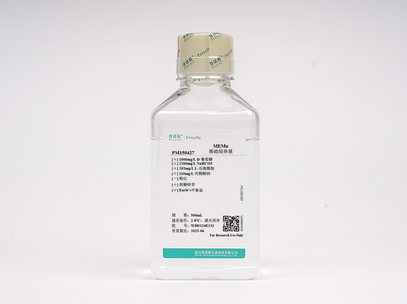 https://789.bio/ec/1RdW58