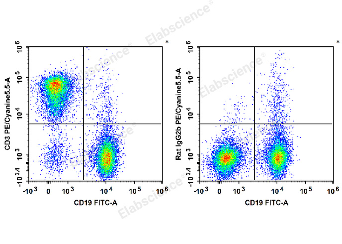 C57BL/6 murine splenocytes are stained with FITC Anti-Mouse CD19 Antibody and PE/Cyanine5.5 Anti-Mouse CD3 Antibody (Left). Splenocytes are stained with FITC Anti-Mouse CD19 Antibody and PE/Cyanine5.5 Rat IgG2b, κ Isotype Control (Right).