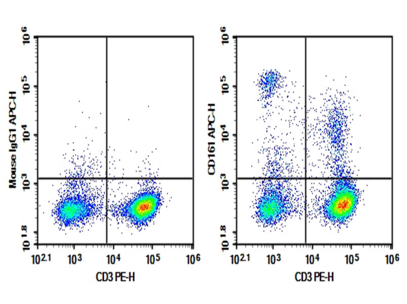 Purified Anti-Rat CD161 Antibody[3.2.3]-searchlist-1