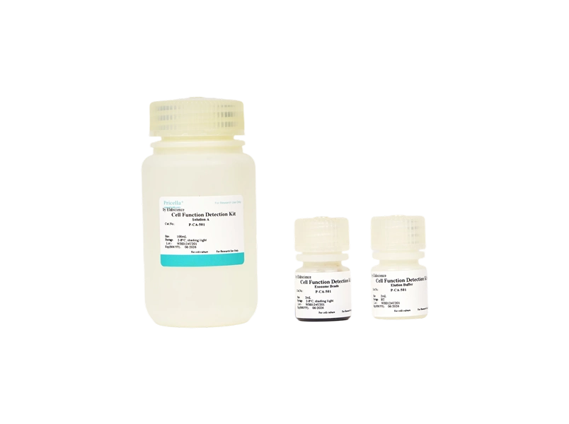Micro Exosome Isolation Kit - 2