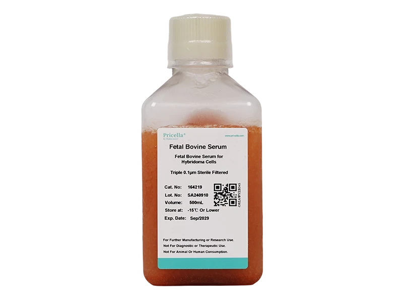 Fetal Bovine Serum for Hybridoma Cells