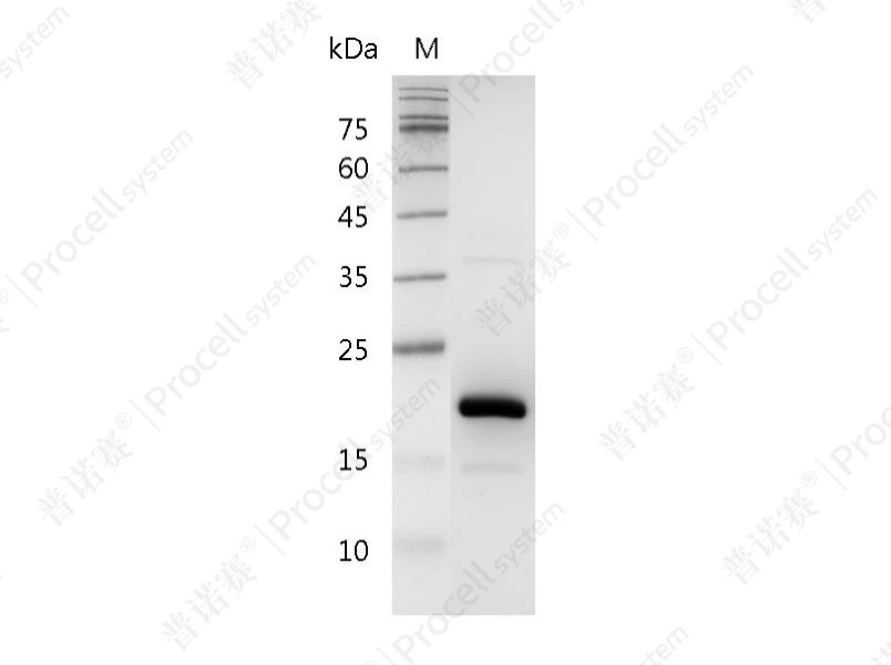 https://789.bio/ec/1VeLdS