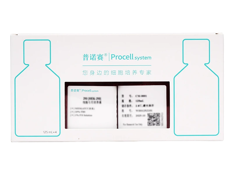 https://789.bio/ec/1Xp0OQ21
