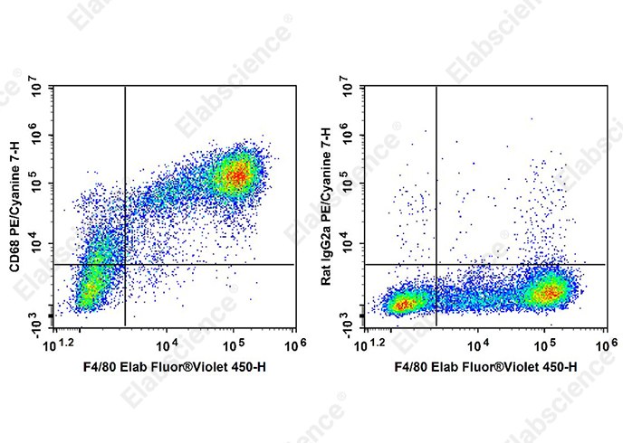 PE/Cyanine7 Anti-Mouse CD68 Antibody[FA-11]-searchlist-1