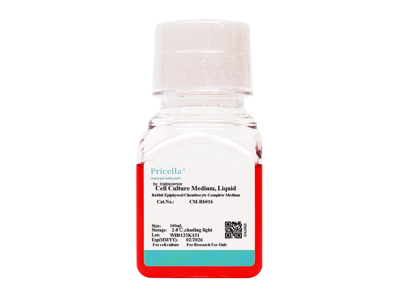 Rabbit Epiphyseal Chondrocyte Complete Medium-searchlist-1