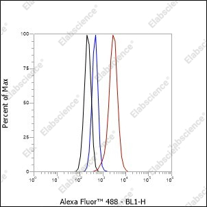 Recombinant GLUT2 Monoclonal Antibody - 2