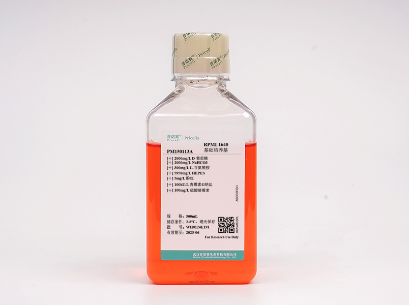 https://789.bio/ec/1dqWi1