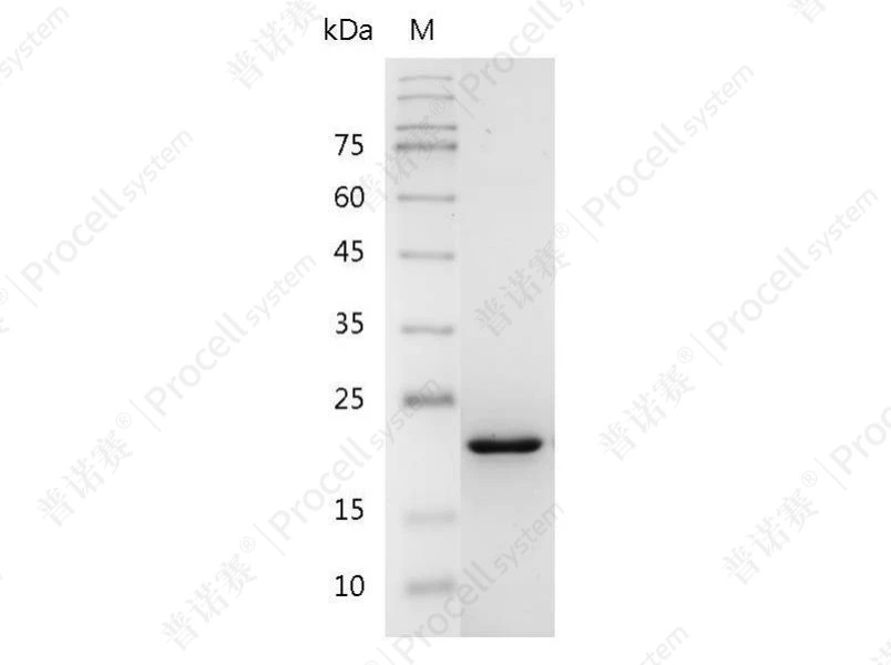 https://789.bio/ec/1hSZH4