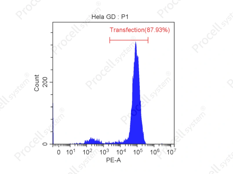Mergene1000<sup>&reg;</sup> Hela Cell-Specific DNA Transfection Reagent - 2