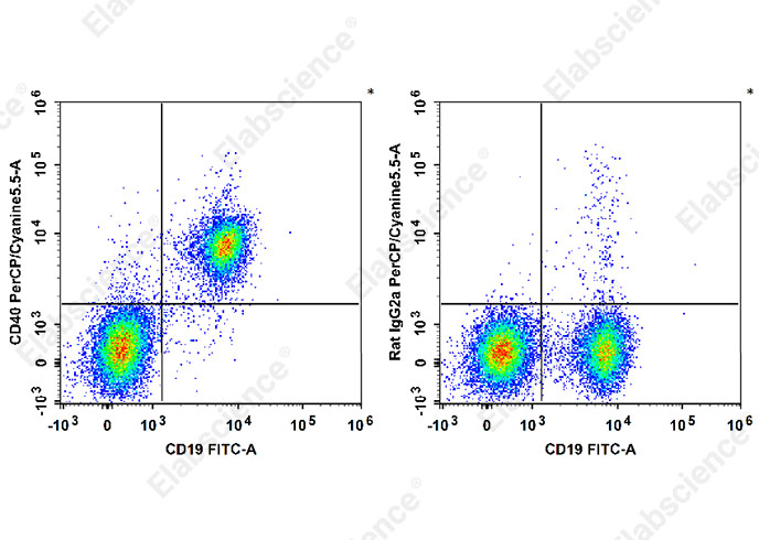 C57BL/6 murine splenocytes are stained with PerCP/Cyanine5.5 Anti-Mouse CD40 Antibody (filled gray histogram). Unstained splenocytes (empty black histogram) are used as control.