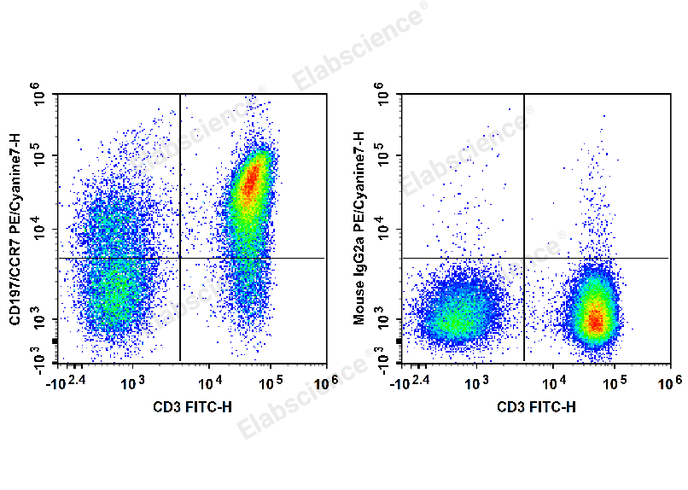 Human peripheral blood lymphocytes are stained with FITC Anti-Human CD3 Antibody and PE/Cyanine7 Anti-Human CD197/CCR7 Antibody (Left). Lymphocytes are stained with FITC Anti-Human CD3 Antibody and PE/Cyanine7 Mouse IgG2a, κ Isotype Control (Right).