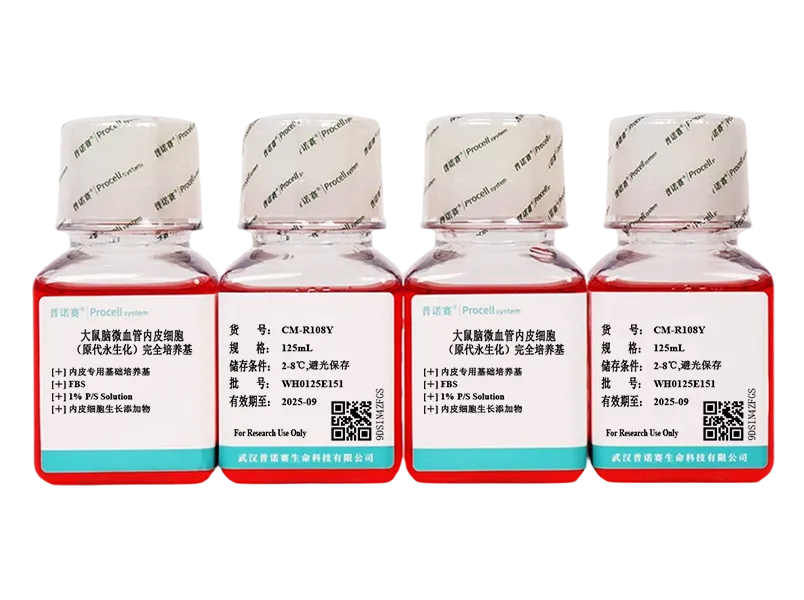 https://789.bio/ec/1ipxSVY0