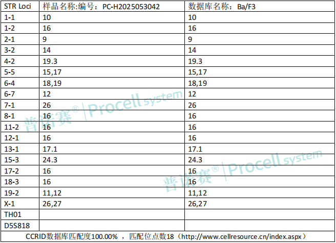 photo1