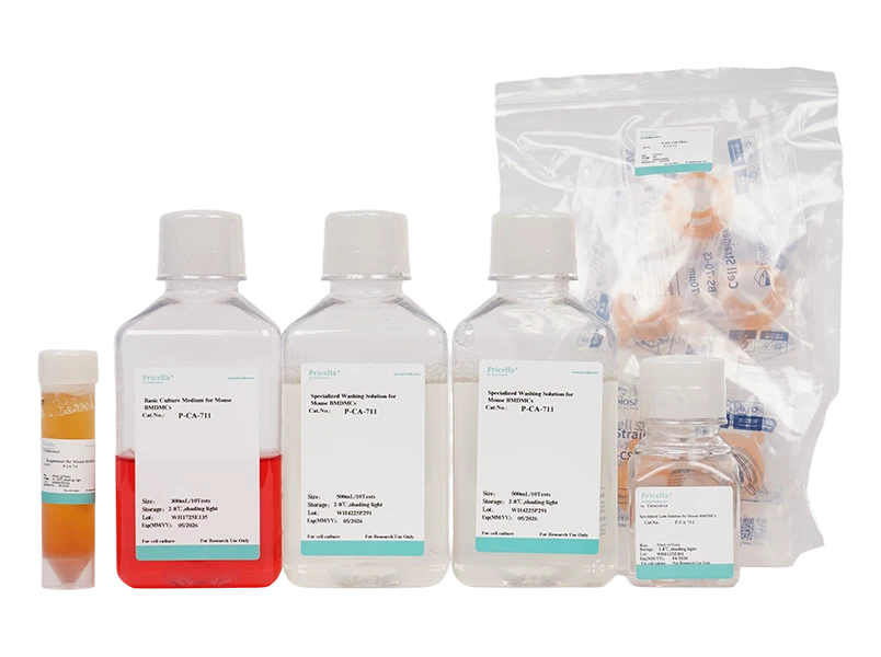 Mouse Bone Marrow-Derived Macrophage Cells Isolation and Culture Kit - small - 2
