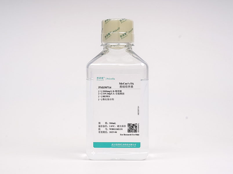 https://789.bio/ec/1pLZaH
