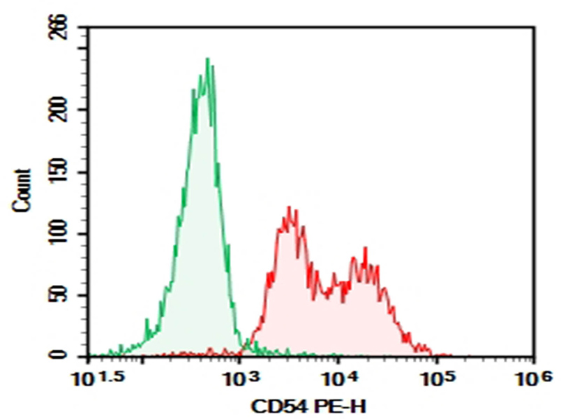 Purified Anti-Human CD54 Antibody[RR1/1]-1