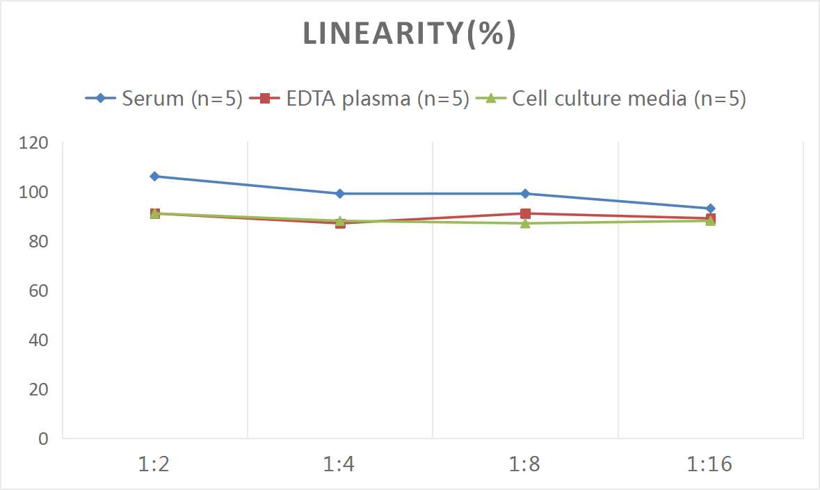 Human SCCA2(Squamous Cell Carcinoma Antigen 2) ELISA Kit - small - 2