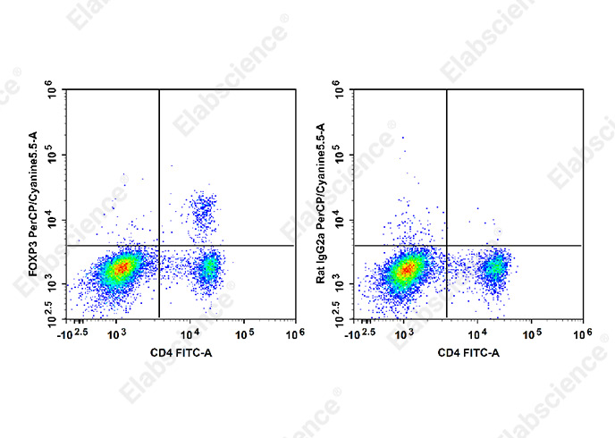 Purified Anti-Mouse CD5 Antibody[53-7.3]-产品推荐-1