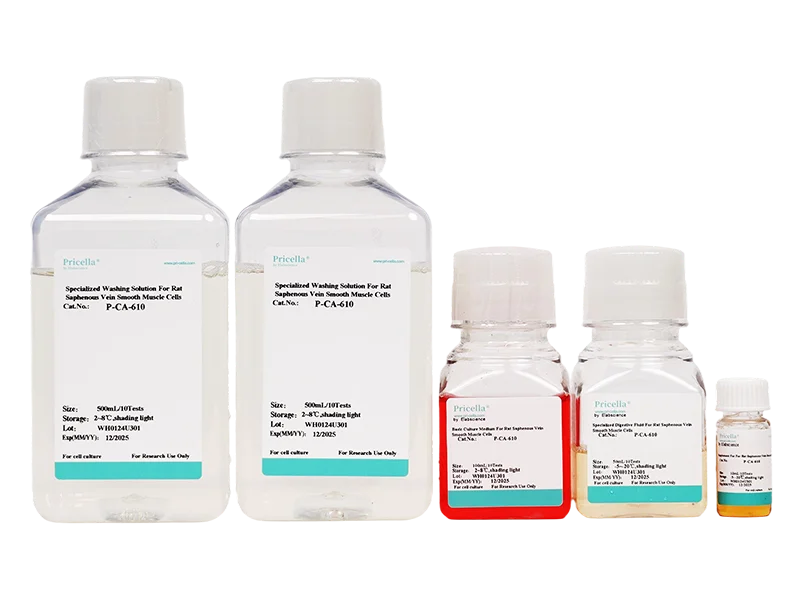 Rat Saphenous Vein Smooth Muscle Cells Isolation and Culture Kit