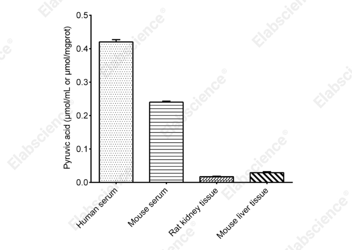 Aspartate Aminotransferase (AST/GOT) Activity Colorimetric Assay Kit (Aspartate Substrate Method) - 1