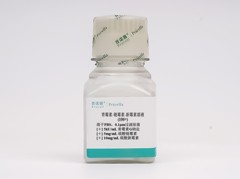 https://789.bio/ec/1xSG8G