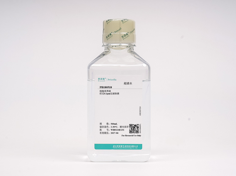 https://789.bio/ec/1xqLpL