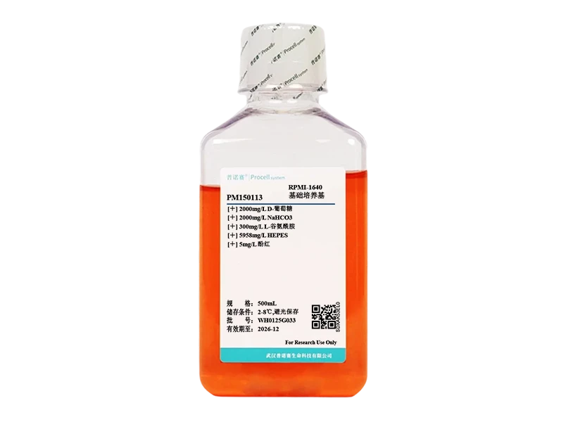 https://789.bio/ec/20DXhOe8