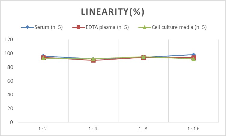 Mini Sample Mouse IL-12 p40 (Interleukin 12 p40) ELISA Kit-1