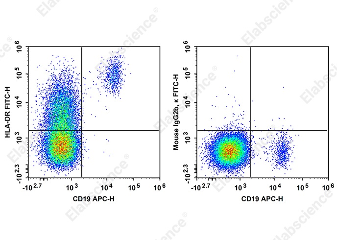 FITC Anti-Human HLA-DR Antibody[LN3] - 1