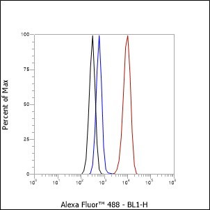 Recombinant LSD2/AOF1 Monoclonal Antibody - small - 4