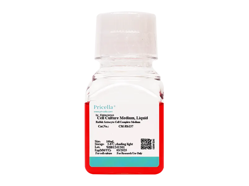 Rabbit Astrocytes Complete Medium-searchlist-1