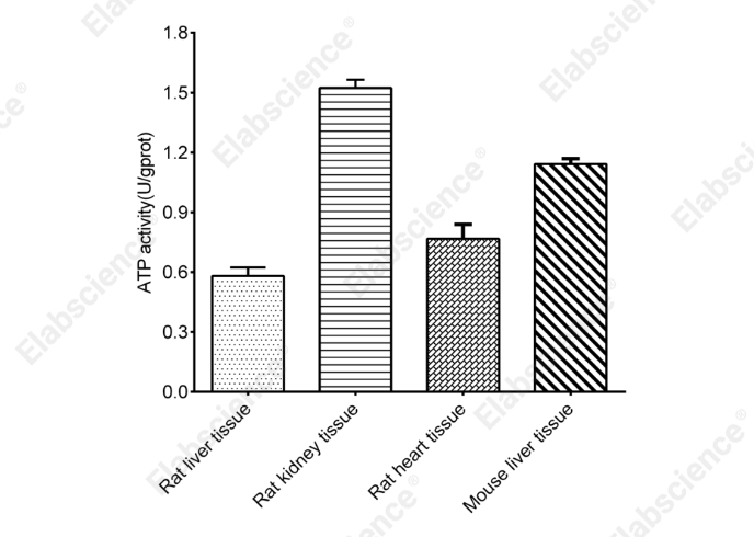 ATPase Activity Assay Kit - 2