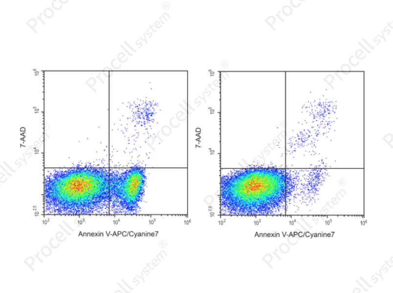 Annexin V-APC/Cyanine7/7-AAD Apoptosis Kit